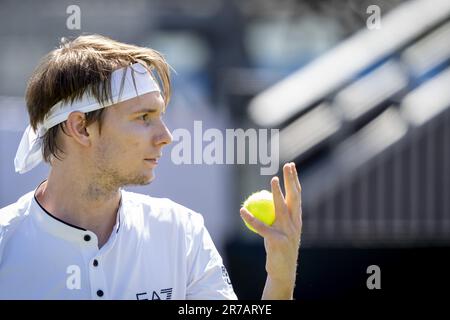 ROSMALEN - Alexander Bublik (KAZ) in discussione con la sedia umpire nella partita contro Jannik Sinner (ITA) il terzo giorno del torneo di tennis Libema Open a Rosmalen. LEVIGATRICE ANP KONING olanda fuori - belgio fuori Foto Stock