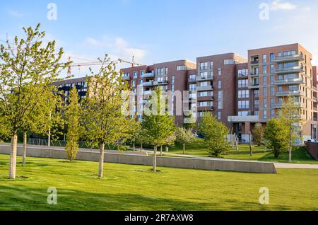 Nuovi edifici di appartamenti lungo il bordo di un parco pubblico caldo illuminato da un sole tramontare in primavera Foto Stock