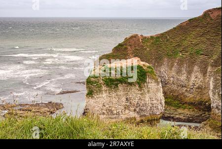 Le scogliere di gesso di Flamborough Head con un gregge di uccelli su un affioramento. Un cielo nuvoloso è sopra e le onde corrono verso la riva. Foto Stock