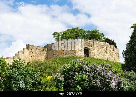 Lucy Tower Lincoln Castle da Drury Lane, Lincoln City, Lincolnshire, Inghilterra, Regno Unito Foto Stock