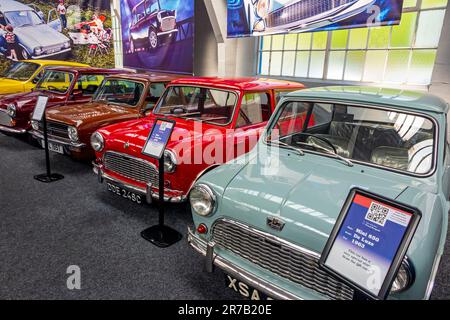 Mini auto in mostra al Great British Car Journey, un museo e attrazione turistica ad Ambergate Derbyshire, Inghilterra, Regno Unito. Foto Stock