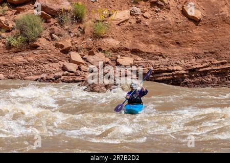 Un kayaker negozia grandi onde a White's Rapid sul fiume Colorado ad alta quota. Moab, Utah. Foto Stock