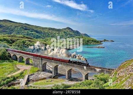 Treno a vapore Jacobite che attraversa il Viadotto di Nan Uamh all'inizio dell'estate con le acque verdi blu di Loch Nan Uamh sulla costa occidentale della Scozia Foto Stock