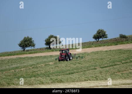 Greenlaw, Regno Unito. 14th giugno, 2023. Grass Demo Day, giornata di dimostrazione con CASE IH & KRONE Agriculture a Rumbleton Law, Greenlaw. G Marshall Tractors Ltd ha ospitato l'evento dimostrativo sotto la luce del sole nello Scottish Borders Credit: Rob Gray/Alamy Live News Foto Stock