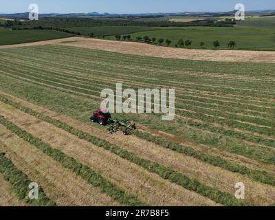 Greenlaw, Regno Unito. 14th giugno, 2023. Grass Demo Day, giornata di dimostrazione con CASE IH & KRONE Agriculture a Rumbleton Law, Greenlaw. G Marshall Tractors Ltd ha ospitato l'evento dimostrativo sotto la luce del sole nello Scottish Borders Credit: Rob Gray/Alamy Live News Foto Stock