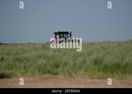 Greenlaw, Regno Unito. 14th giugno, 2023. Grass Demo Day, giornata di dimostrazione con CASE IH & KRONE Agriculture a Rumbleton Law, Greenlaw. G Marshall Tractors Ltd ha ospitato l'evento dimostrativo sotto la luce del sole nello Scottish Borders Credit: Rob Gray/Alamy Live News Foto Stock