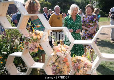La regina Camilla partecipa al Bees for Development Bee Garden Party, durante il 30th° anniversario della beneficenza, alla Marlborough House di Londra. Data immagine: Mercoledì 14 giugno 2023. Foto Stock