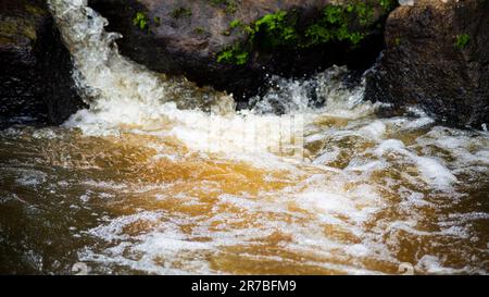 Un tranquillo torrente con acqua corrente cristallina che cade sulle rocce lisce nel letto del ruscello Foto Stock