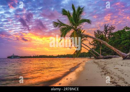 Splendida alba sulla spiaggia tropicale Foto Stock