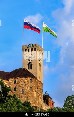 2023 vincitori NK olimpija ljubljiana i fan appendono la cresta del club dalla cima della torre dell'orologio del castello di ljubljiana che domina la città vecchia Foto Stock