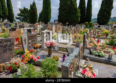 i cipressi costeggiano sentieri tra le lapidi e i memoriali del cimitero di pirano Foto Stock