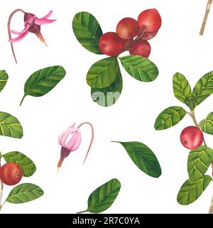 Motivo senza cuciture con bacche rosse Vaccinium vitis-idaea, mirtillo rosso, mirtillo di montagna. Acquerello dipinto a mano illustrazione Foto Stock