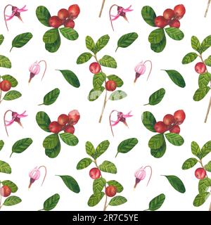 Motivo senza cuciture con bacche rosse Vaccinium vitis-idaea, mirtillo rosso, mirtillo di montagna. Acquerello dipinto a mano illustrazione Foto Stock