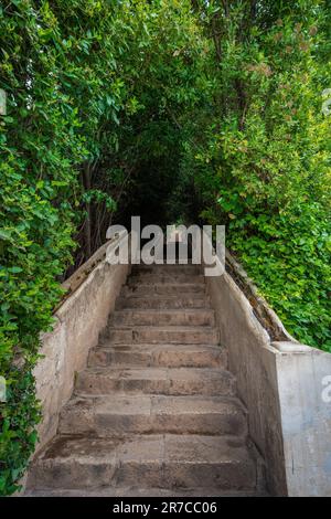 Scalinata ad acqua (Escalera del Agua) ai Giardini Generalife dell'Alhambra - Granada, Andalusia, Spagna Foto Stock