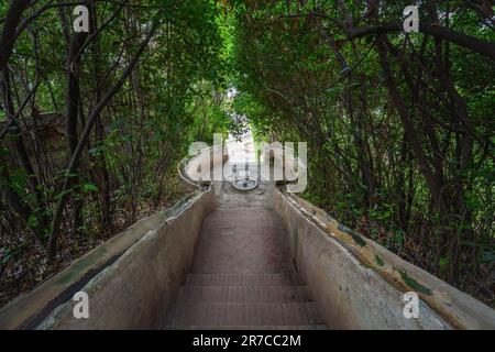 Scalinata ad acqua (Escalera del Agua) ai Giardini Generalife dell'Alhambra - Granada, Andalusia, Spagna Foto Stock