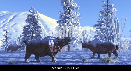 Lanosi Rhino maschi mantenere ogni altra azienda durante un inverno nevoso nel Pleistocene Superiore periodo. Foto Stock