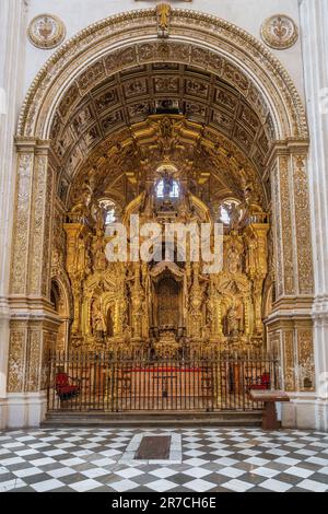 Cappella di nostra Signora di El Antigua (Capilla Virgen de la Antigua) al Duomo interno di Granada - Granada, Andalusia, Spagna Foto Stock