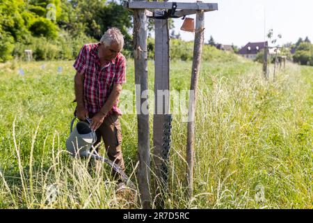 Staufen im Breisgau, Germania. 14th giugno, 2023. Il coltivatore di frutta Martin Geng Waters un albero giovane. La persistente siccità nel sud del Baden sta causando problemi alla natura e molti agricoltori sono preoccupati per la resa delle colture. Credit: Philip von Ditfurth/dpa/Alamy Live News Foto Stock