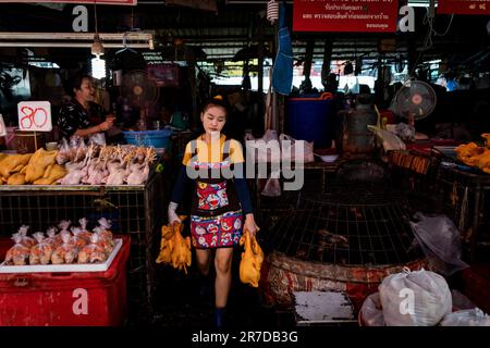 Bangkok, Thailandia. 15th giugno, 2023. Un fornitore trasporta i polli attraverso il mercato bagnato di Khlong Toey. La vita quotidiana a Bangkok, Thailandia, come l'economia ha mostrato segni di ripresa, con il Ministero delle Finanze che ha riferito un 2,6% di espansione economica lo scorso anno e un previsto 3,6% quest'anno, con il turismo internazionale che è un fattore chiave nella sua ripresa economica post-COVID. Credit: Matt Hunt/Neato/Alamy Live News Foto Stock