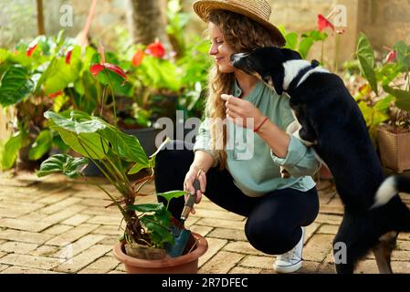 Giovane donna felice che coccola e gioca con il cane. Donna caucasica giardiniere che indossa cappello di paglia piantando fiori e prendersi cura di piante in vaso con Foto Stock