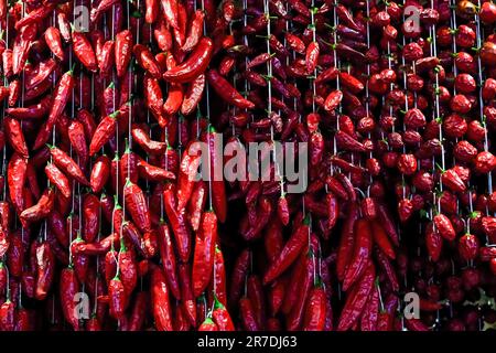 Raccolta di peperoni nel mercato di Madeira, Portogallo Foto Stock