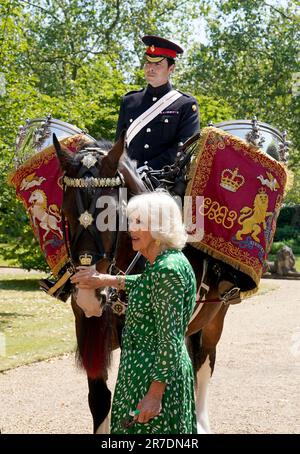 La Regina Camilla nomina il nuovo Cavalleria Casuca 'Juno' guidato dal Sergente maggiore Daniel Evans alla Clarence House di Londra. Data immagine: Mercoledì 14 giugno 2023. Foto Stock