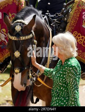 La regina Camilla nomina il nuovo Cavalleria a tamburo della famiglia 'Juno' alla Clarence House di Londra. Data immagine: Mercoledì 14 giugno 2023. Foto Stock