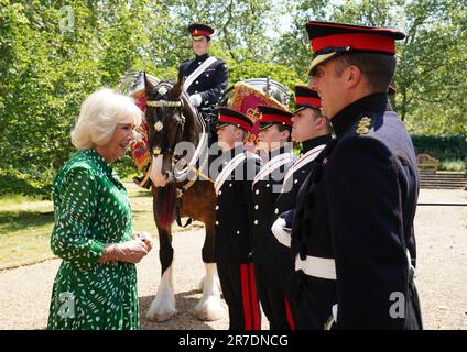 La regina Camilla incontra i membri della Cavalleria domestica mentre nomina il nuovo Cavalleria domestica tamburo 'Juno' guidato dal Sergente maggiore Daniel Evans (in alto) alla Clarence House a Londra. Data immagine: Mercoledì 14 giugno 2023. Foto Stock