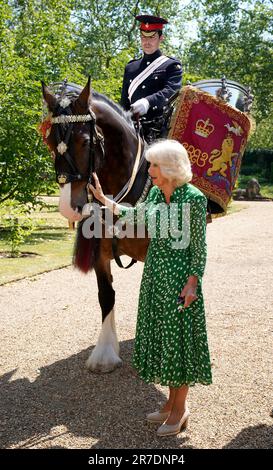 La Regina Camilla nomina il nuovo Cavalleria Casuca 'Juno' guidato dal Sergente maggiore Daniel Evans alla Clarence House di Londra. Data immagine: Mercoledì 14 giugno 2023. Foto Stock