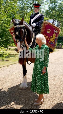 La Regina Camilla nomina il nuovo Cavalleria Casuca 'Juno' guidato dal Sergente maggiore Daniel Evans alla Clarence House di Londra. Data immagine: Mercoledì 14 giugno 2023. Foto Stock