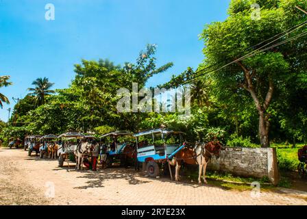 Carrozza trainata da cavalli a Gili Air Island, marzo 2023. Le isole Gili sono così piccole che non sono ammessi veicoli motorizzati sulle isole. Foto Stock