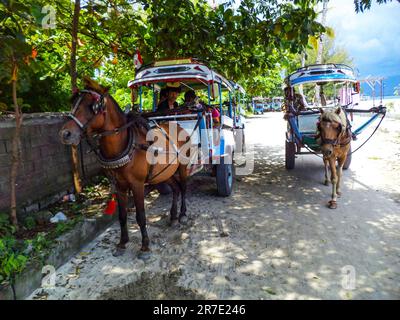 Carrozza trainata da cavalli a Gili Air Island, marzo 2023. Le isole Gili sono così piccole che non sono ammessi veicoli motorizzati sulle isole. Foto Stock