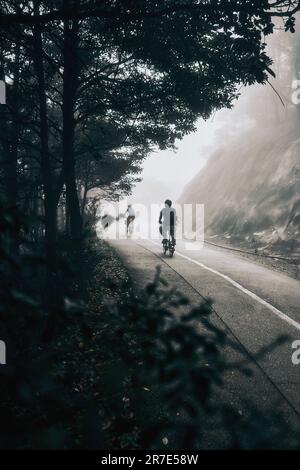 Le due persone in bicicletta su una strada rurale avvolta nella nebbia. Foto Stock