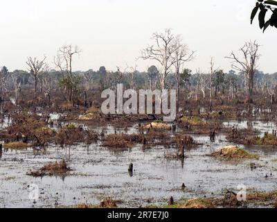 Moats neer Neak Pean Royal Reservoirs, Siem Reap Province, Angkor's Temple Complex Sito Patrimonio Mondiale dell'Umanità dall'UNESCO nel 1192, costruito da Re J. Foto Stock