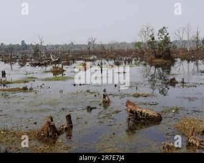 Moats neer Neak Pean Royal Reservoirs, Siem Reap Province, Angkor's Temple Complex Sito Patrimonio Mondiale dell'Umanità dall'UNESCO nel 1192, costruito da Re J. Foto Stock