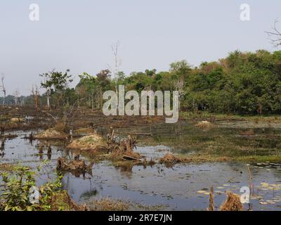 Moats neer Neak Pean Royal Reservoirs, Siem Reap Province, Angkor's Temple Complex Sito Patrimonio Mondiale dell'Umanità dall'UNESCO nel 1192, costruito da Re J. Foto Stock