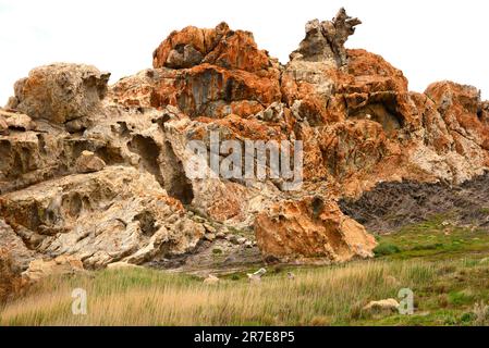 Pegmatite è una roccia ignea intrusiva composta principalmente da quarzo, feldspato e mica. Questa formazione proviene da Paratge Tudela, Cape Creus Natural Park, G Foto Stock