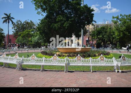 Parque Principal Francisco Cantón Rosado Valladolid Messico Foto Stock