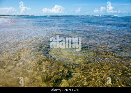 acqua pulita in una spiaggia paradisiaca Foto Stock