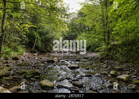 Piccolo Beck, sopra Foss caduta Foto Stock