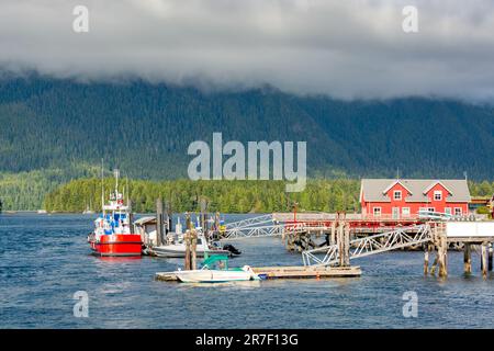 Le barche a motore ormeggiano ai moli sulla baia dell'oceano Pacifico a Tofino Foto Stock