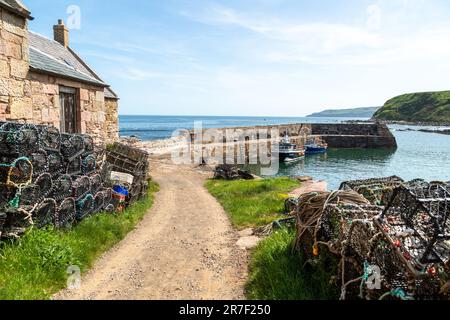 Cove Harbour è una delle gemme nascoste del sud-est della Scozia, confini scozzesi Foto Stock