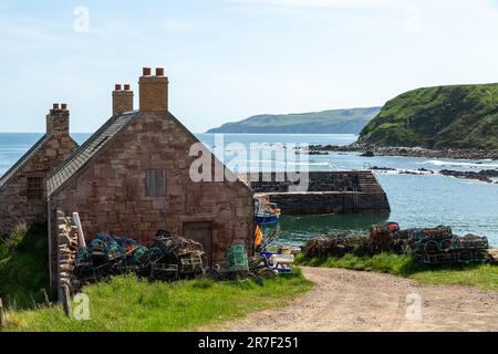 Cove Harbour è una delle gemme nascoste del sud-est della Scozia, confini scozzesi Foto Stock