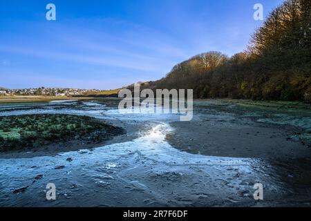 Condizioni di vineria al fiume Gannel con bassa marea a Newquay in Cornovaglia nel Regno Unito. Foto Stock