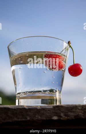 Acqua gassata in un bicchiere con bacche rosse. Foto Stock