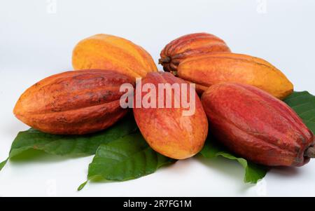 Gruppo di cialde di cocao di colore arancione su foglie verdi macro vista isolata Foto Stock
