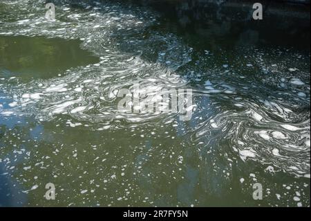 Schiuma bianca sulla superficie dell'acqua, River Teifi, Cenarth, Wales, UK Foto Stock