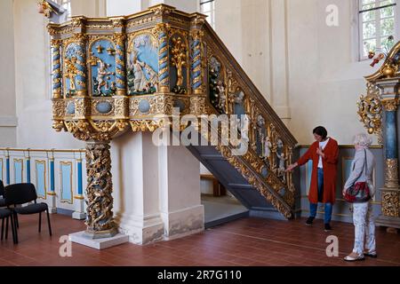 La guida spiega il significato delle sculture in legno, il più grande insieme di sculture in legno dell'epoca barocca, la chiesa luterana di Lestene, Lettonia Foto Stock