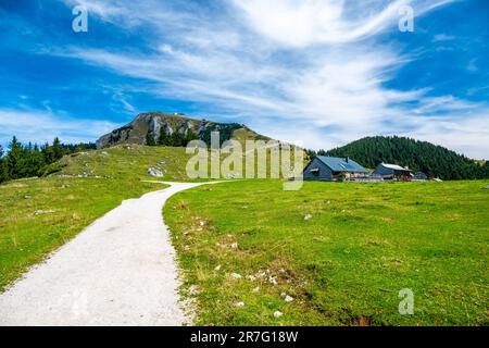 Escursioni sulla collina di Schafberg, Austria. Schafberg di Sankt Wolfgang im Salzkammergut sul lago Mondsee (moonlake, luna). Austria superiore (Oberosterreich), Foto Stock