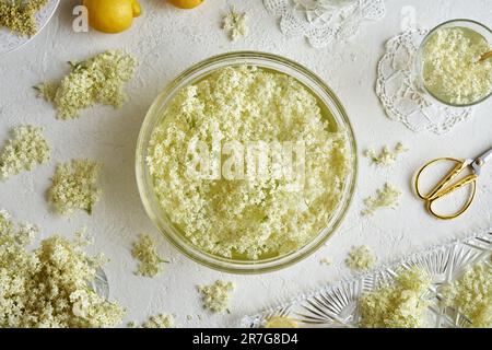 Fiori freschi di sambuco raccolti in maceratina primavera in acqua - preprazione di sciroppo di erbe fatto in casa Foto Stock